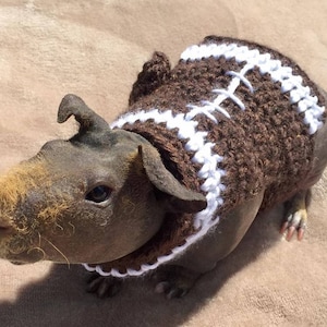 Guinea Pig Football Sweater, Skinny Pig Sweater, Guinea Pig Clothes, Football Pet Sweater, Hairless Guinea Pig, Crochet Pet Sweater