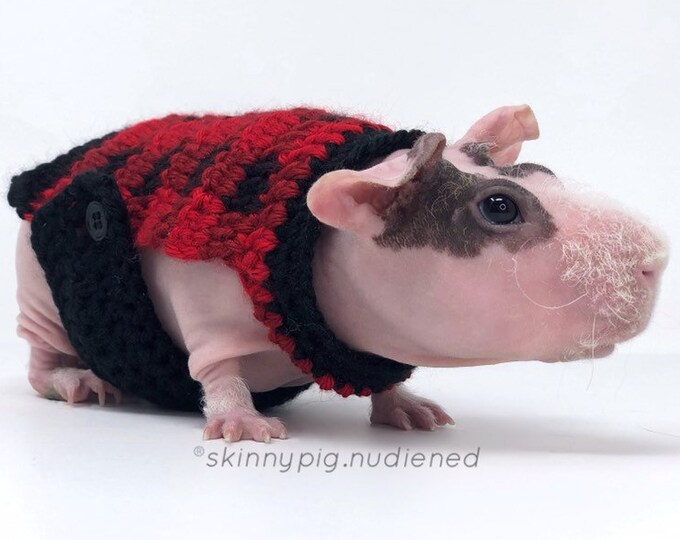 Guinea Pig Buffalo Plaid Sweater Guinea Pig Costume Guinea Etsy