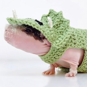 Crochet Pattern Triceratops Costume for Guinea Pigs and Small Animals