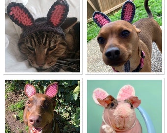 Crochet Pattern Bunny Ears for Pets, Rabbit Ears for Pets Crochet Pattern