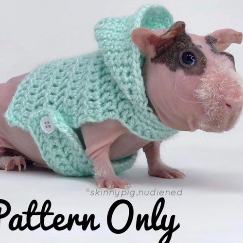 Guinea Pig Sweater Etsy