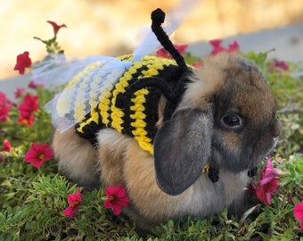 Rabbit Costume, Bumble Bee Costume, Bumble Bee Outfit, Rabbit Clothes, Halloween Costume, Spring Costume, Bug Costume, Rabbit Hat