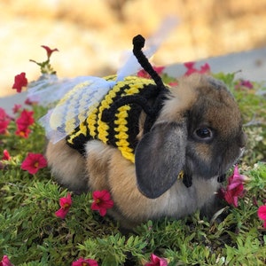 Rabbit Costume, Bumble Bee Costume, Bumble Bee Outfit, Rabbit Clothes, Halloween Costume, Spring Costume, Bug Costume, Rabbit Hat