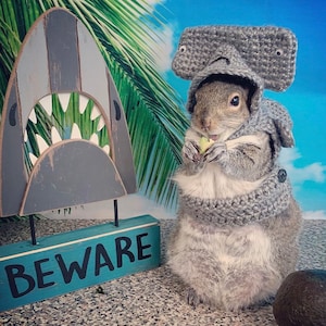 Crochet Pattern  Hammerhead Shark Costume for Squirrels, Guinea Pigs, and Small Animals