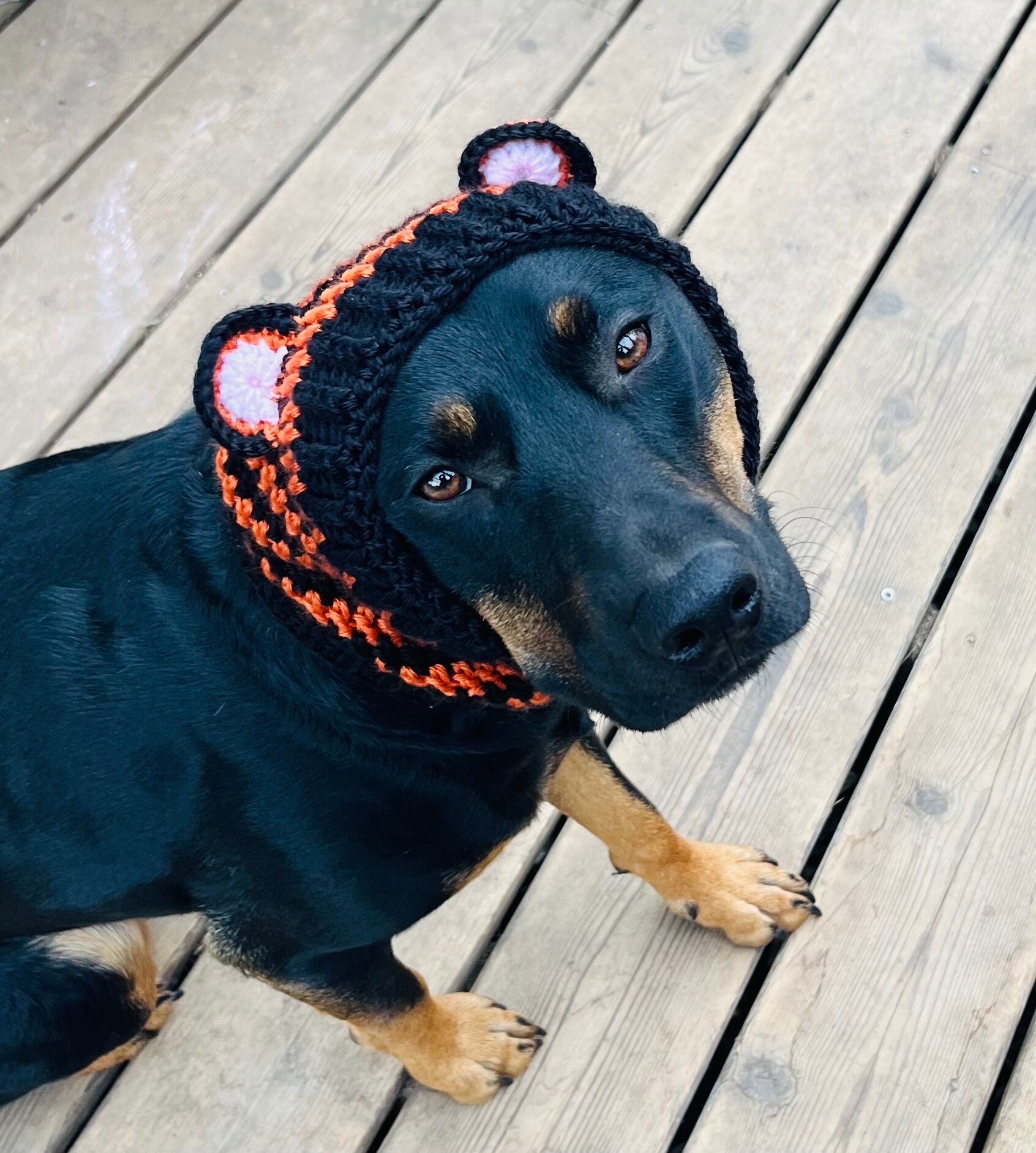 Dog Tiger Snood Cowl- Medium Dog- 18 Inch Neck - Etsy