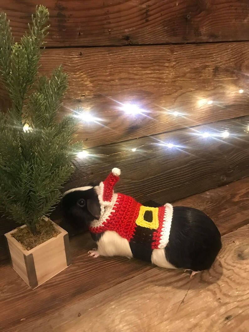 Guinea Pig Santa Clothes Guinea Pig Santa Hat Pet Santa Hat image 0