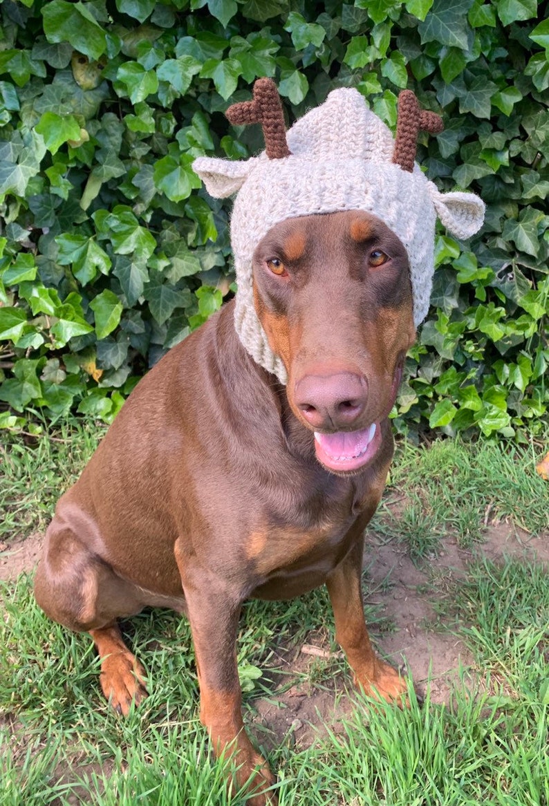 Crochet Pattern Dog Antler Snood Hat Etsy