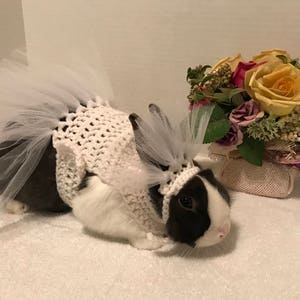 Rabbit Costume, Rabbit Bride Costume, Rabbit Wedding, Rabbit Clothes ...