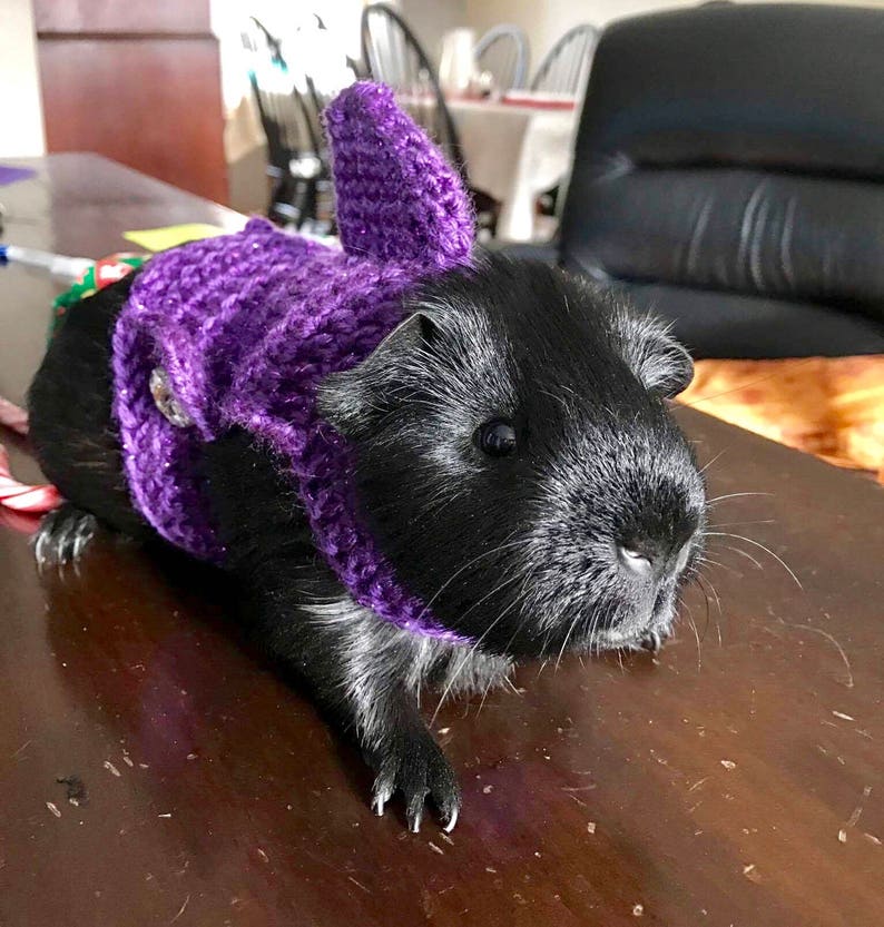 Guinea Pig Shark Costume Guinea Pig Clothes Skinny Pig Etsy