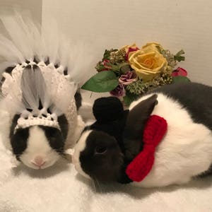 Rabbit Costume, Rabbit Bride Costume, Rabbit Wedding, Rabbit Clothes ...