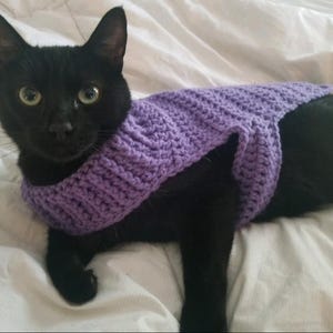 Crochet Pattern Cat Sweater, Cat Clothes Pattern, Dog Clothes Pattern, Pet Clothes Pattern
