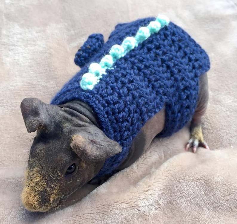 guinea pig dinosaur costume