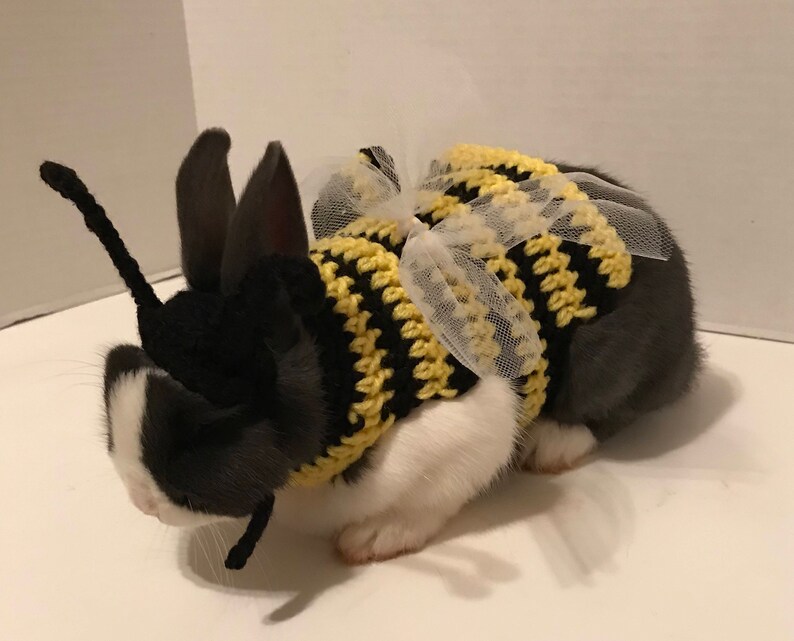 Guinea Pig Bumble Bee Costume Bumble Bee Outfit Guinea Pig Etsy