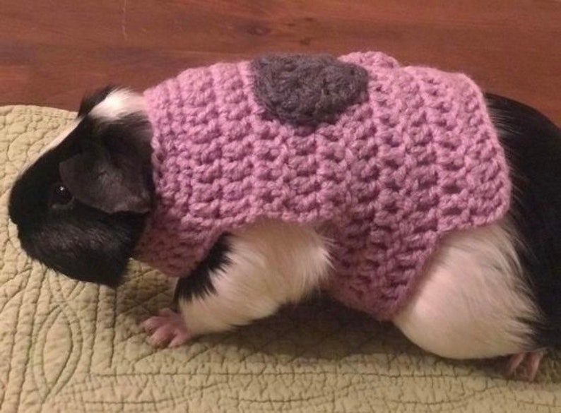 Crochet Pattern Guinea Pig Heart Sweater, Guinea Pig Clothes Pattern, Guinea Pig Sweater Pattern, Skinny Pig Sweater Crochet Pattern image 6