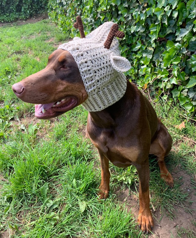 Crochet Pattern Dog Antler Snood Hat Etsy