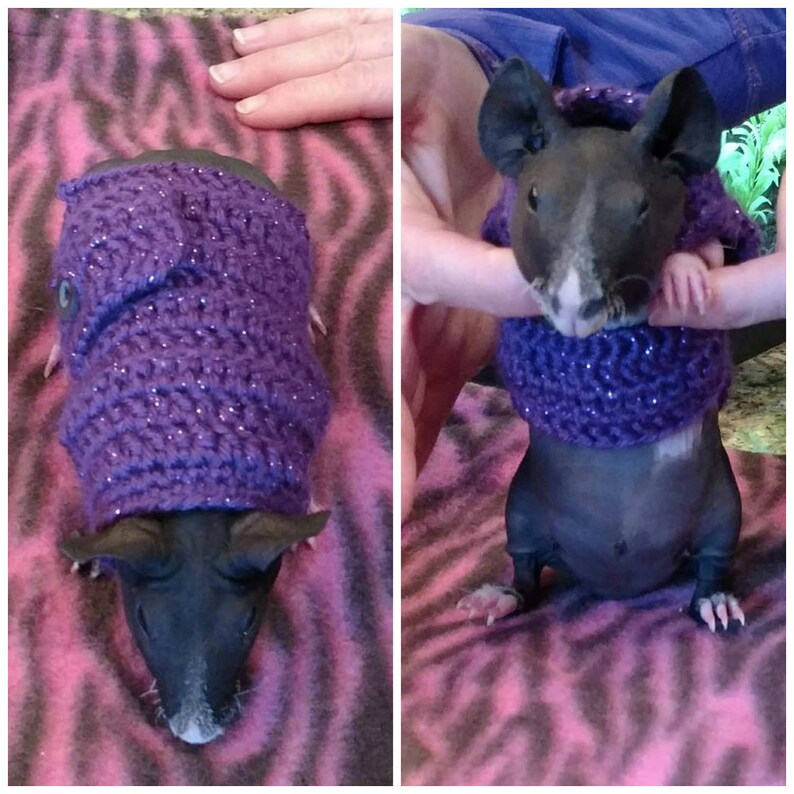 Guinea Pig Clothes Guinea Pig Sweater Skinny Pig Sweater Etsy