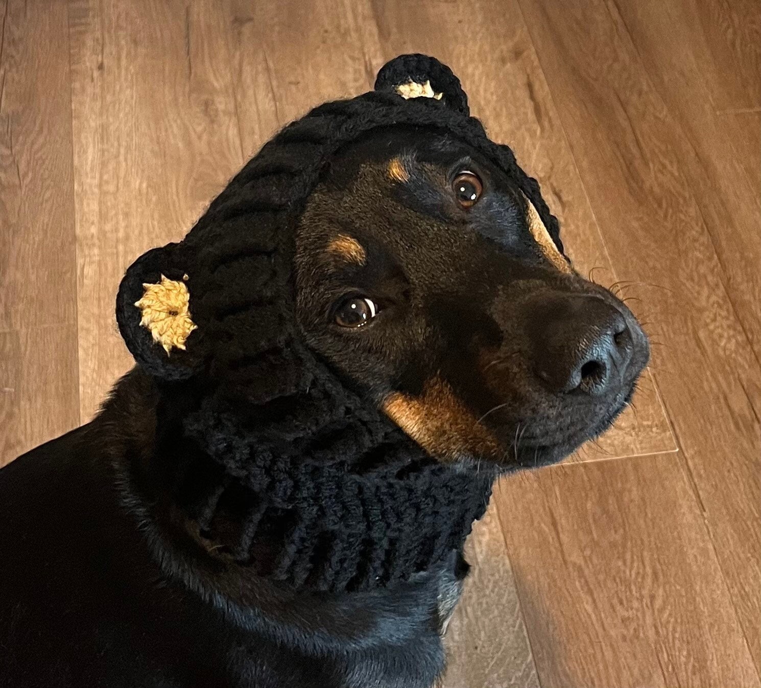 Crochet Pattern Dog Bear Snood Cowl - Etsy