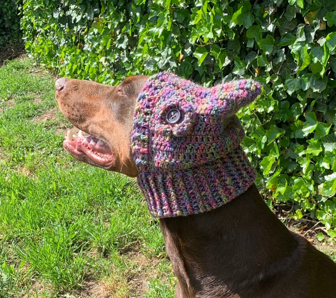 Crochet Pattern Dog Snood Etsy