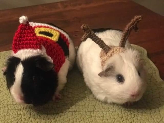 Guinea Pig Antlers Christmas Pet Antlers Guinea Pig Hat Etsy 50 - Guinea Pig Antlers Christmas Pet Antlers Guinea Pig Hat Etsy