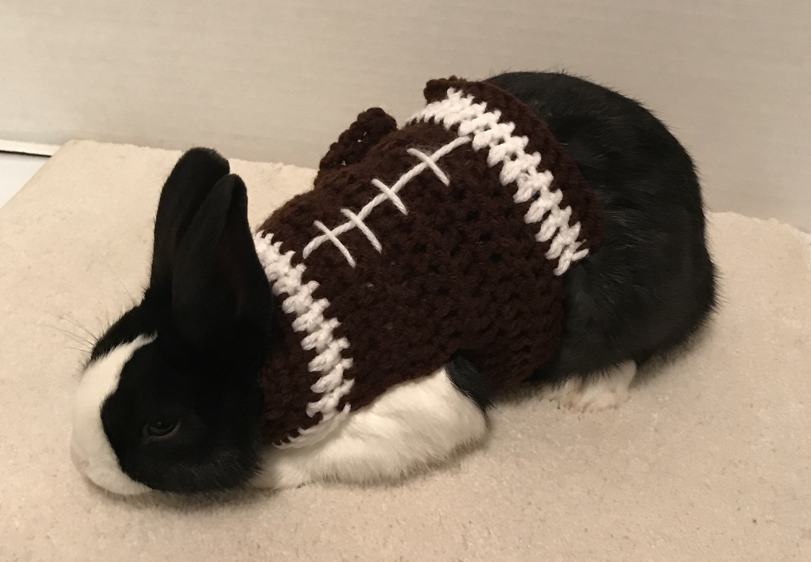 Rabbit Football Sweater, Rabbit Clothes, Rabbit Sweater, Rabbit Costume ...