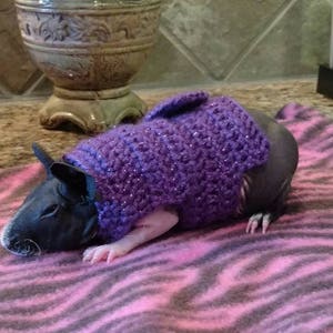 guinea-pig-clothes-guinea-pig-sweater-skinny-pig-sweater-small-pet
