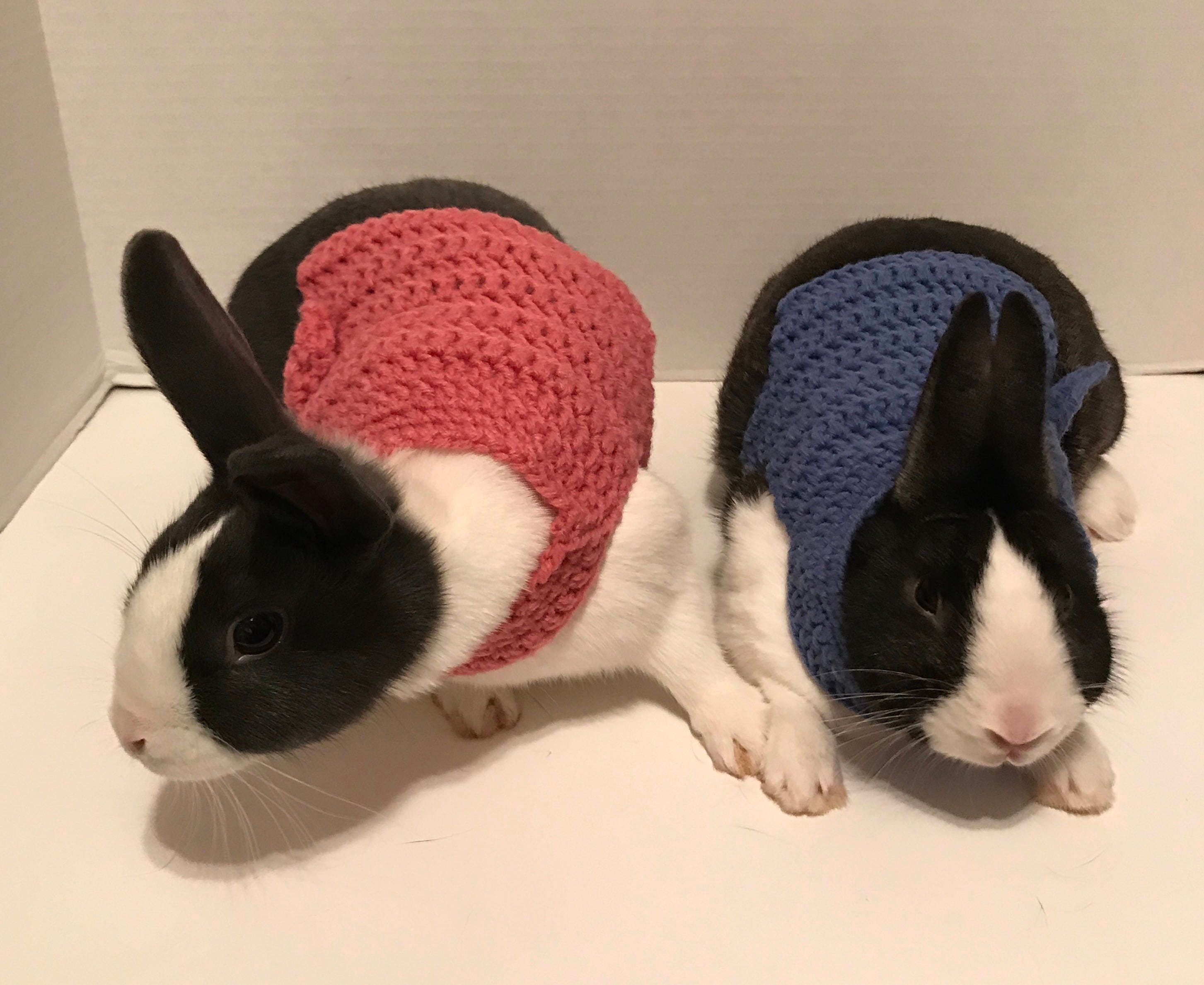 Sweaters for cheap rabbits