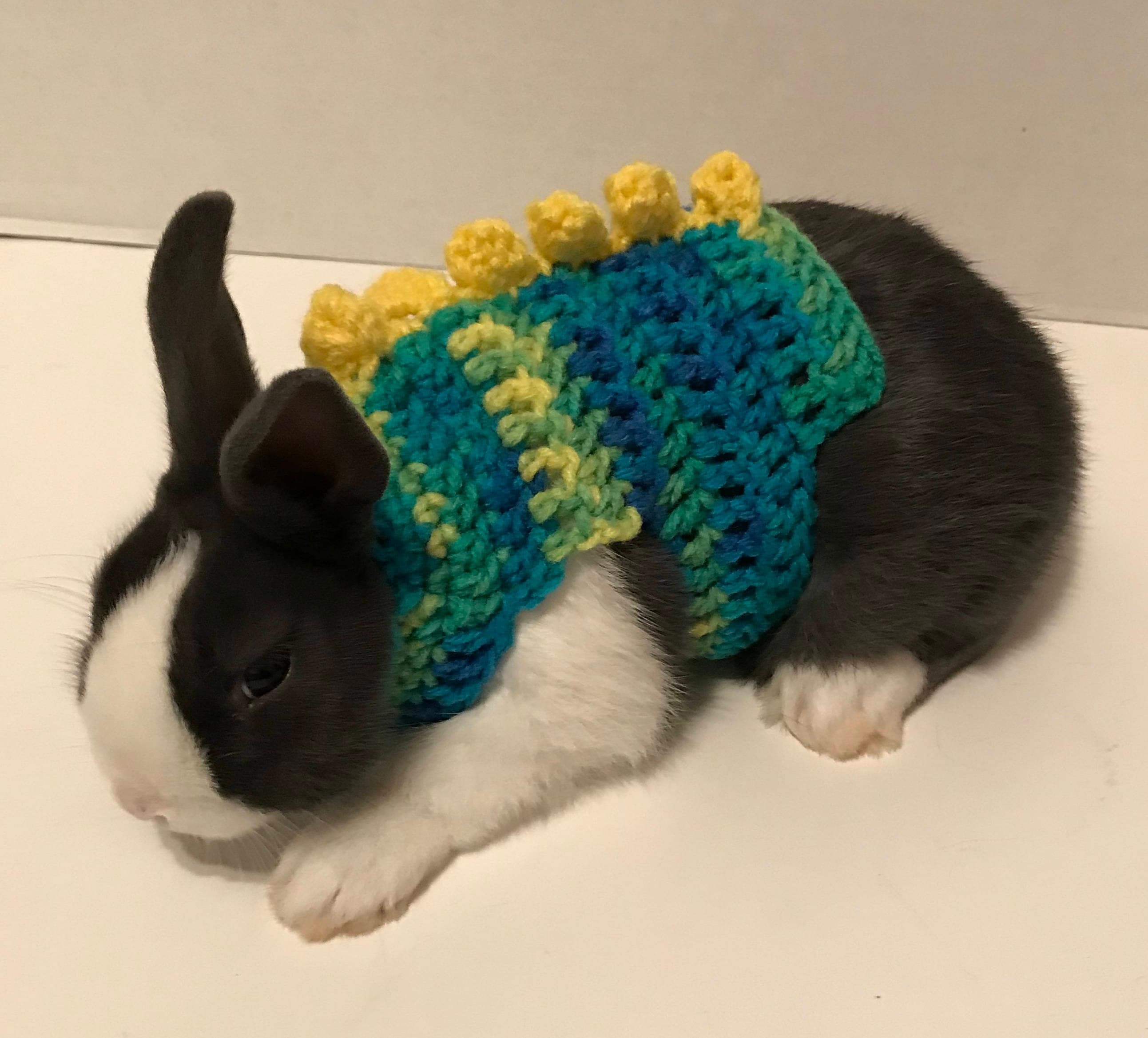 rabbit clothes for rabbits