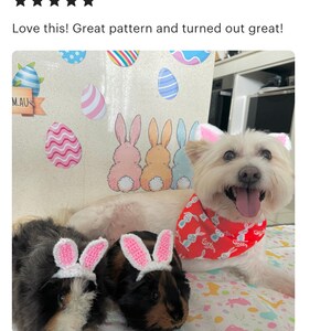 Crochet Pattern Bunny Ears for Pets, Rabbit Ears for Pets Crochet Pattern image 10