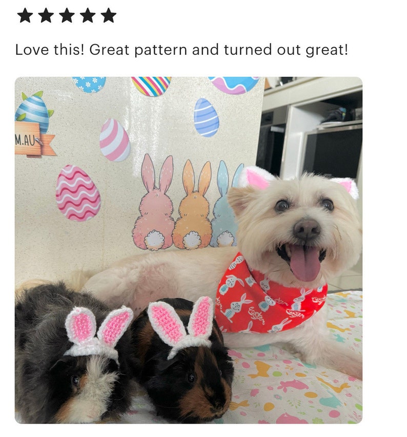 Crochet Pattern Bunny Ears for Pets, Rabbit Ears for Pets Crochet Pattern image 10