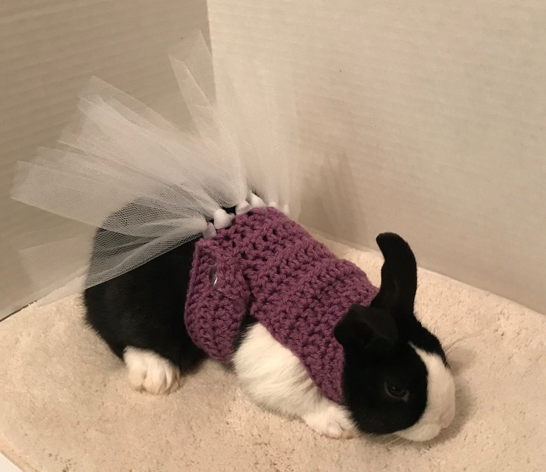 Rabbit Ballerina Costume Rabbit Tutu Rabbit Clothes Rabbit | Etsy