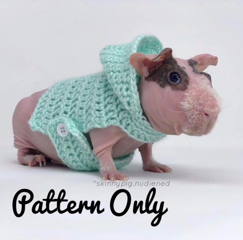 Crochet Pattern Guinea Pig Hoodie, Guinea Pig Clothes Pattern, Guinea Pig Sweater, Skinny Pig Sweater image 1