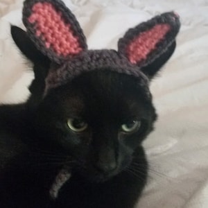 Crochet Pattern Bunny Ears for Pets, Rabbit Ears for Pets Crochet Pattern image 8