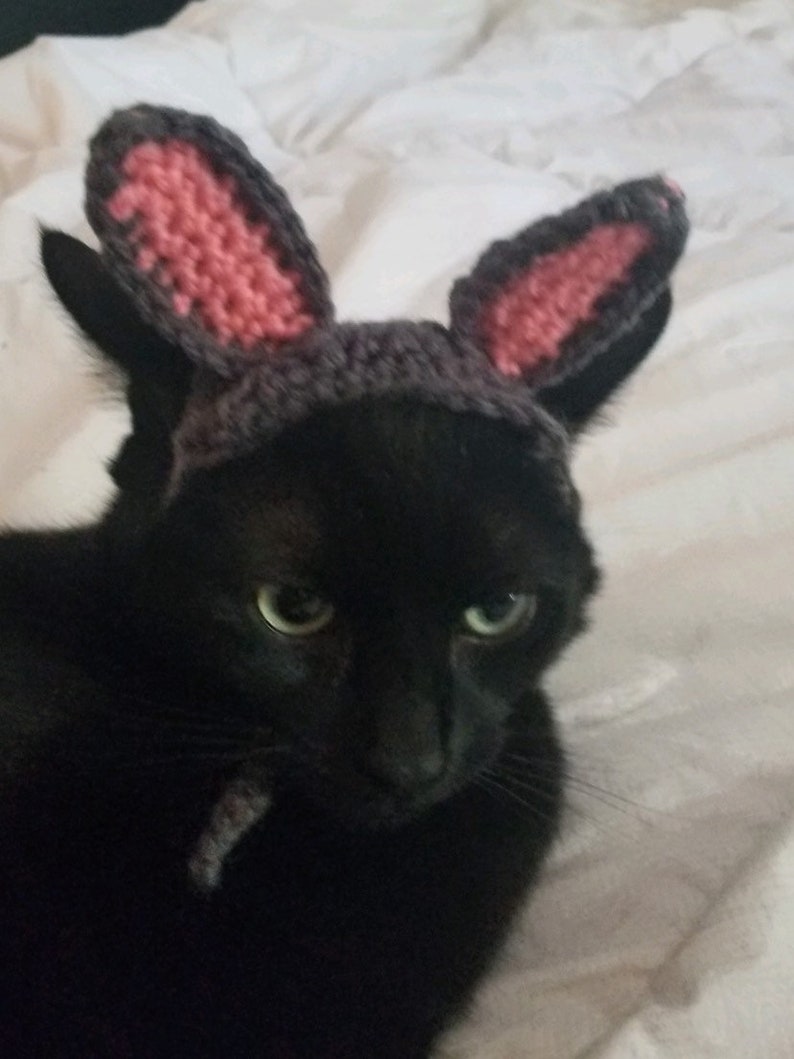 Crochet Pattern Bunny Ears for Pets, Rabbit Ears for Pets Crochet Pattern image 8