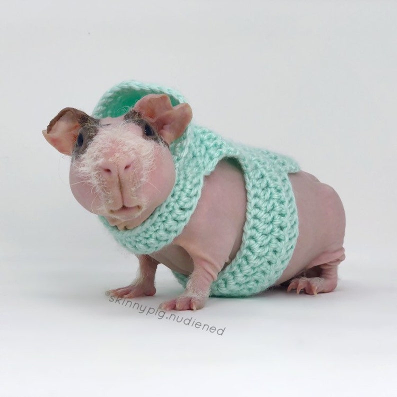 Crochet Pattern Guinea Pig Hoodie, Guinea Pig Clothes Pattern, Guinea Pig Sweater, Skinny Pig Sweater image 3