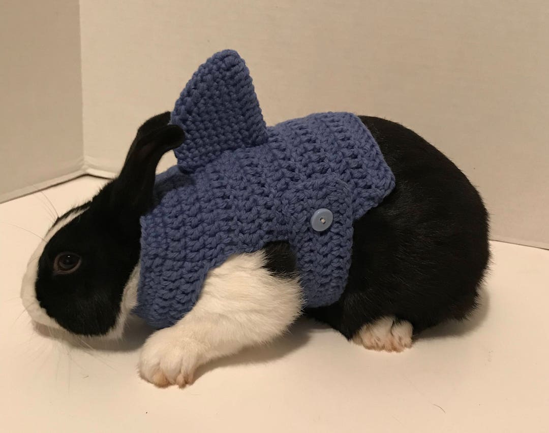 Shark Rabbit Costume, Rabbit Clothes, Rabbit Sweater, Sweater for Bunny ...
