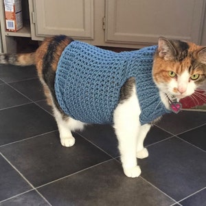 Pu&ograve; includere: Un gatto calico con un maglione di uncinetto blu. Il gatto &egrave; in piedi su un pavimento piastrellato e guarda la telecamera.