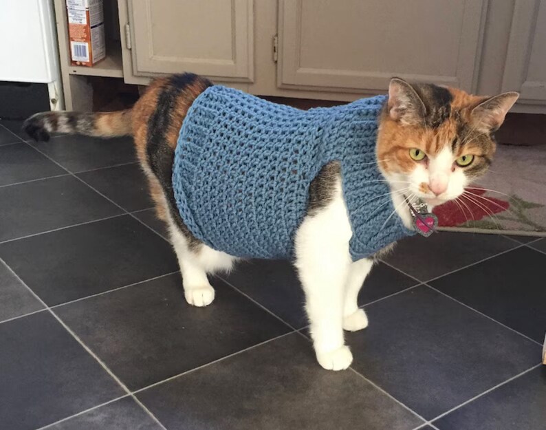 Pu&ograve; includere: Un gatto calico con un maglione di uncinetto blu. Il gatto &egrave; in piedi su un pavimento piastrellato e guarda la telecamera.