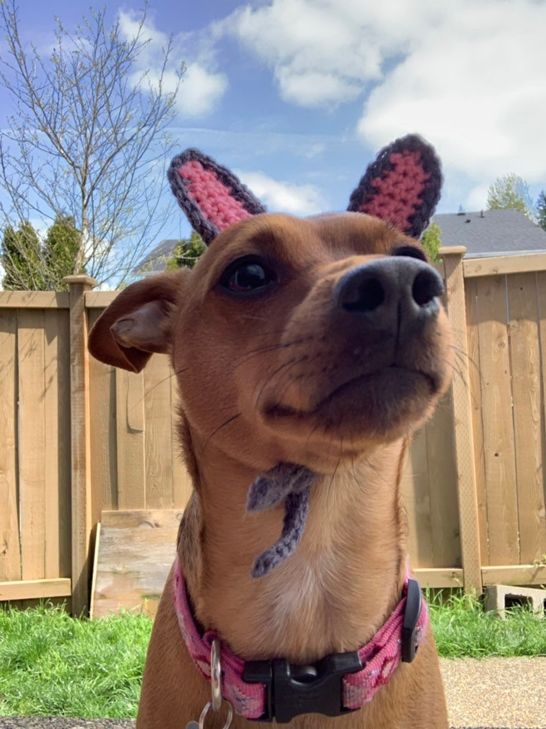 Crochet Pattern Bunny Ears for Pets, Rabbit Ears for Pets Crochet Pattern image 5