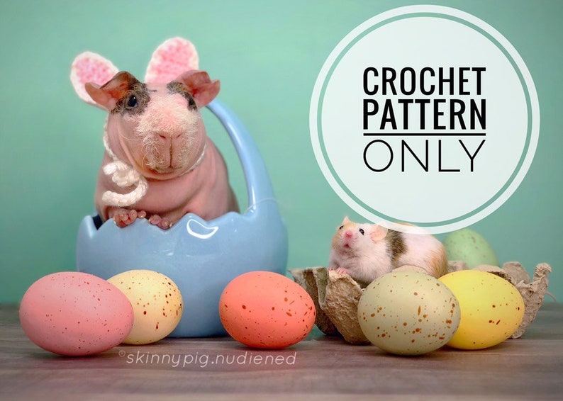 Crochet Pattern Bunny Ears for Pets, Rabbit Ears for Pets Crochet Pattern image 2