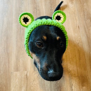 Crochet Pattern Dog Frog Snood Cowl image 3
