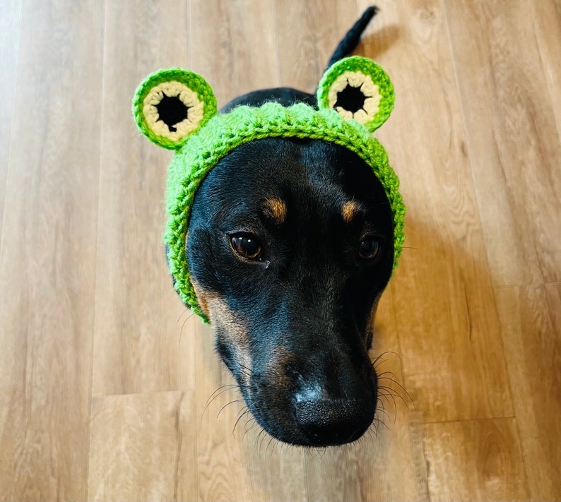 Crochet Pattern Dog Frog Snood Cowl image 3