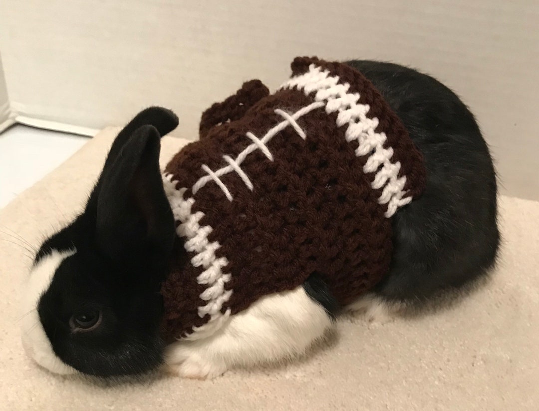 Rabbit Football Sweater, Rabbit Clothes, Rabbit Sweater, Rabbit Costume ...