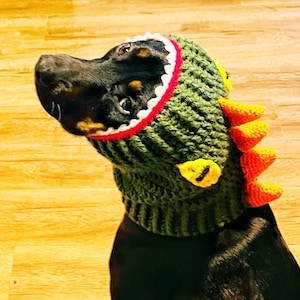 May include: A black dog wearing a green, red, and yellow crocheted dinosaur costume. The costume has a large open mouth with white teeth and a yellow eye.