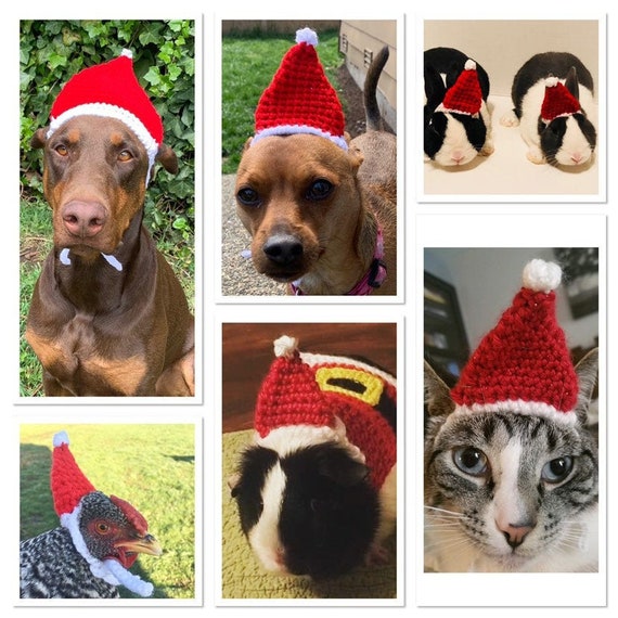 Crochet Pattern of Pet Santa Hat for 
