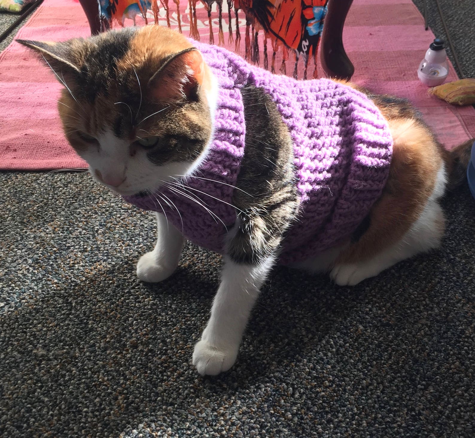 Cat Sweater Crochet Pattern Cat Clothes Pattern Crochet Etsy Cat Sweater Crochet Pattern Cat Clothes Pattern Crochet Etsy