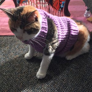 Cat Sweater Crochet Pattern Cat Clothes Pattern (Download Now) - Etsy