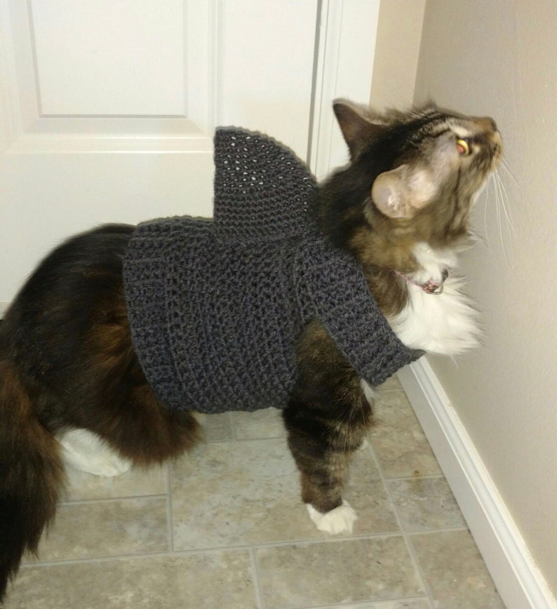 May include: A gray crocheted shark costume for a cat. The cat is wearing the costume and looking up.