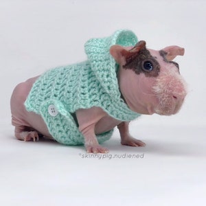 Guinea Pig Hoodie, Guinea Pig Clothes, Guinea Pig Sweater, Skinny Pig Sweater, Small Pet Clothes, Cavy Accessories, Hairless Guinea Pig