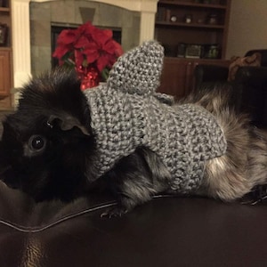 Guinea Pig Shark Costume, Guinea Pig Clothes, Skinny Pig Sweater, Cavy Sweater, Small Pet Clothes, Crochet Pet Sweater, Accessories