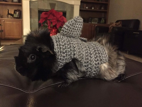 Guinea pig store shark costume